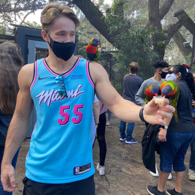 Grand Rapids Accountants CPA