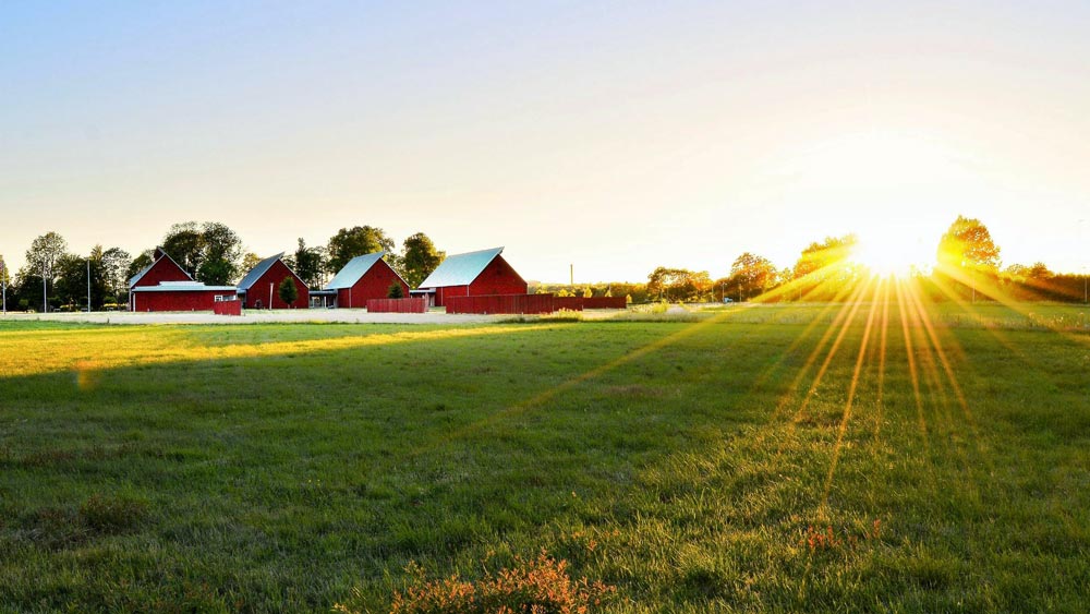 west-michigan-farm-accounting-cpa West Michigan Farm Accounting CPA